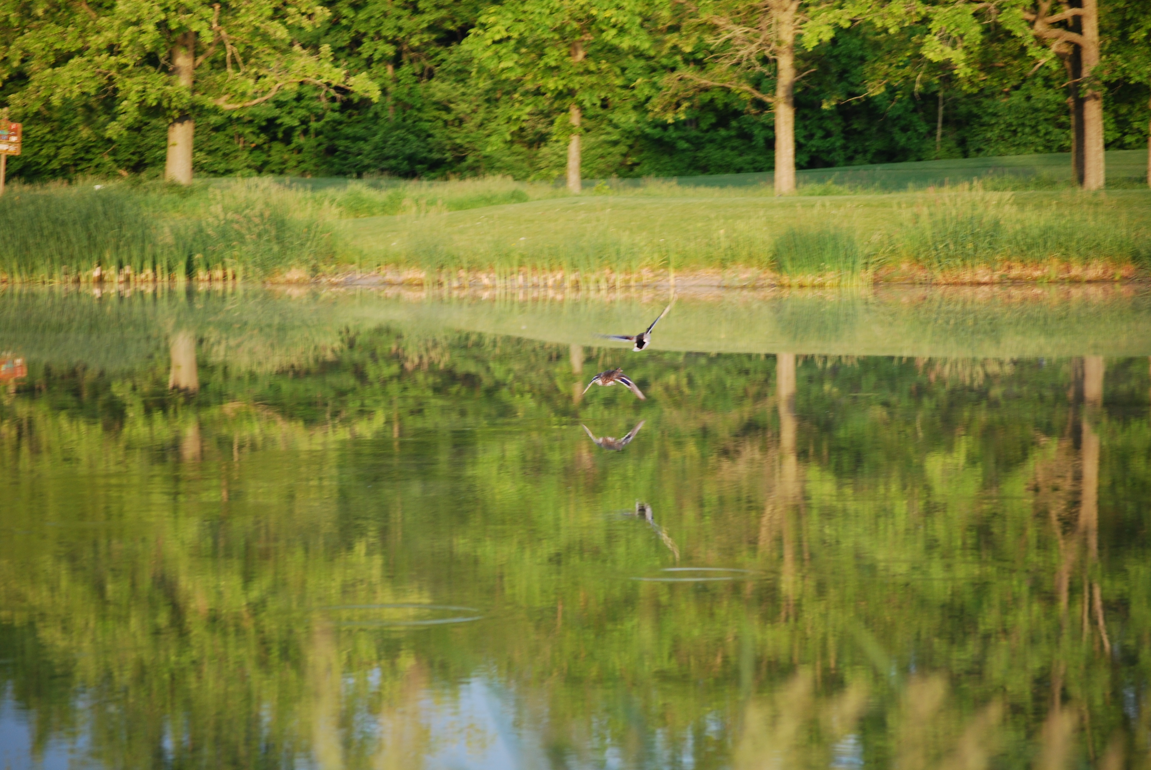 /img/DSC_0138-3872x2592.jpg